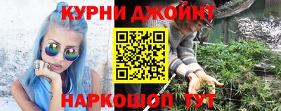 прущие грибы Ставрополь