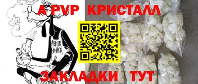 прущие грибы Ставрополь