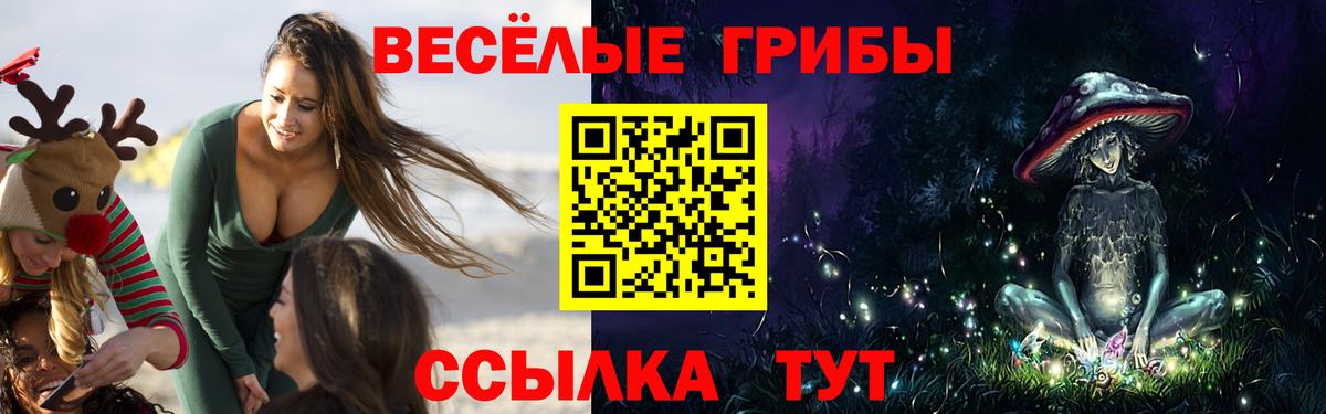 Галлюциногенные грибы мицелий  дарнет шоп  Новоуральск  Вход с VPN 
