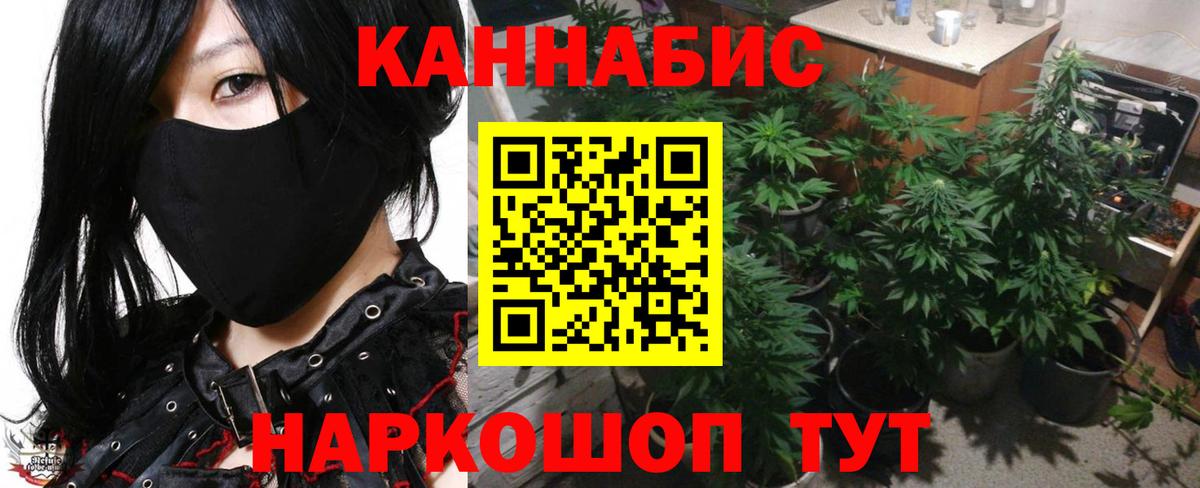 Бошки Шишки семена Новоуральск